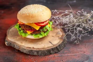 معرفی انواع همبرگر منجمد + قیمت خرید روز