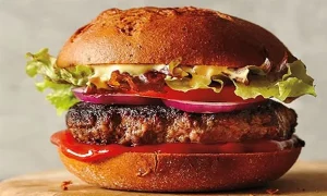 قیمت و خرید همبرگر گوشتیران 60 در صد + فروش ارزان